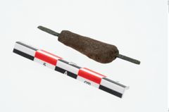 Foto von Beinnadelspitzenschoner (NHMW-PRAE-026078)